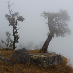 The Sound Memo's of Satohyoh