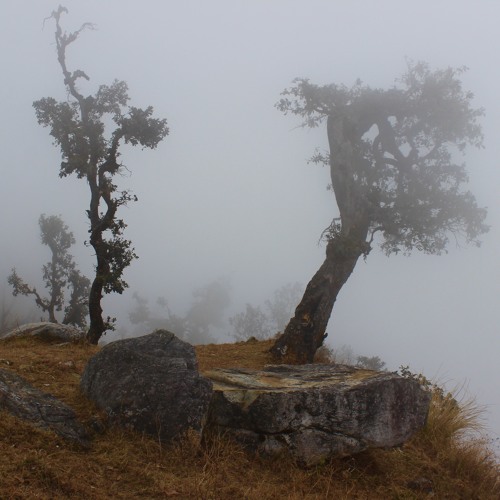 The Sound Memo's of Satohyoh