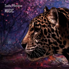 Sasha PRimitive - Magic (Snippet)