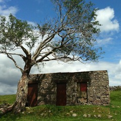 Like Something Almost Being Said