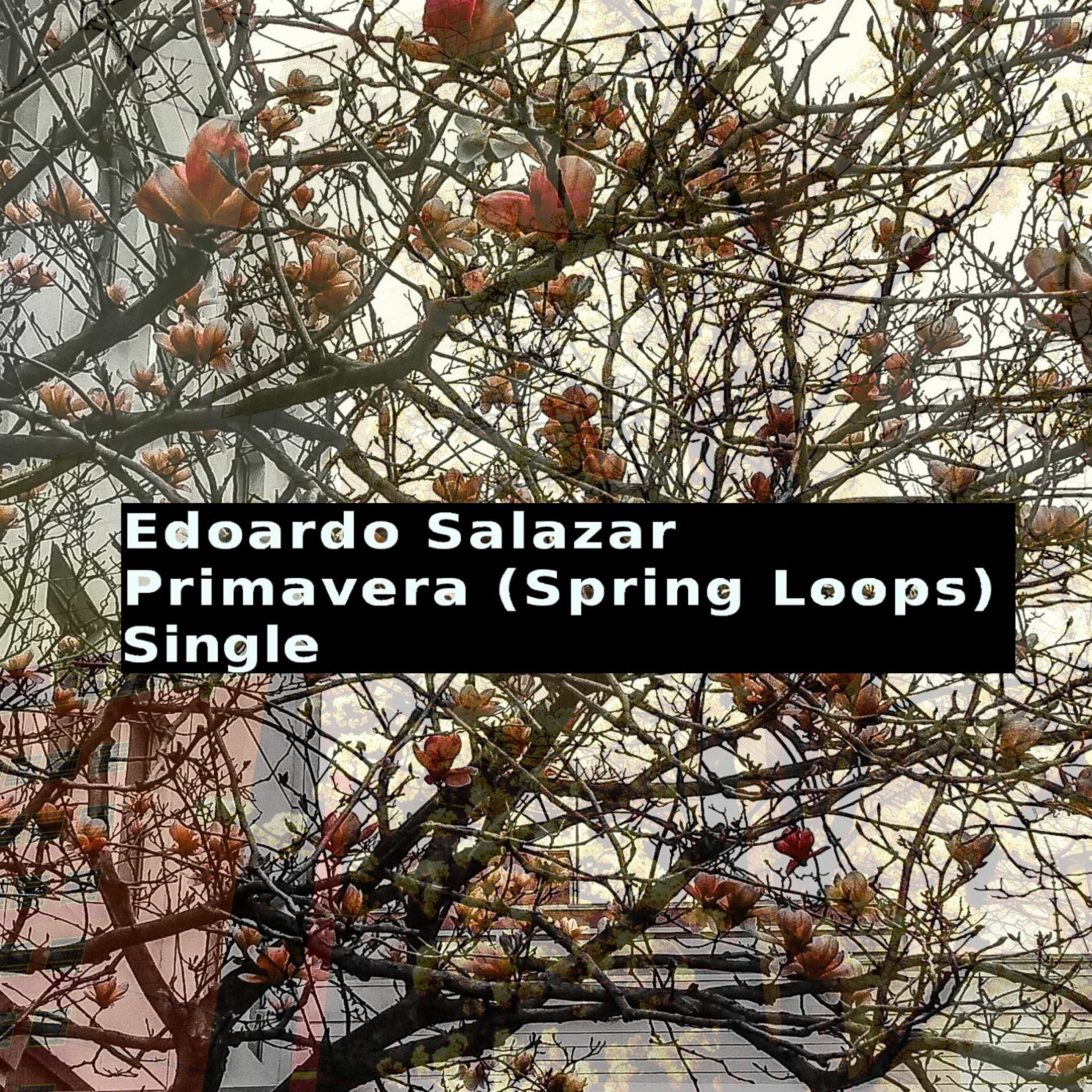 Edoardo Salazar