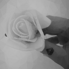 Feride hilal akın - bilirmi ?