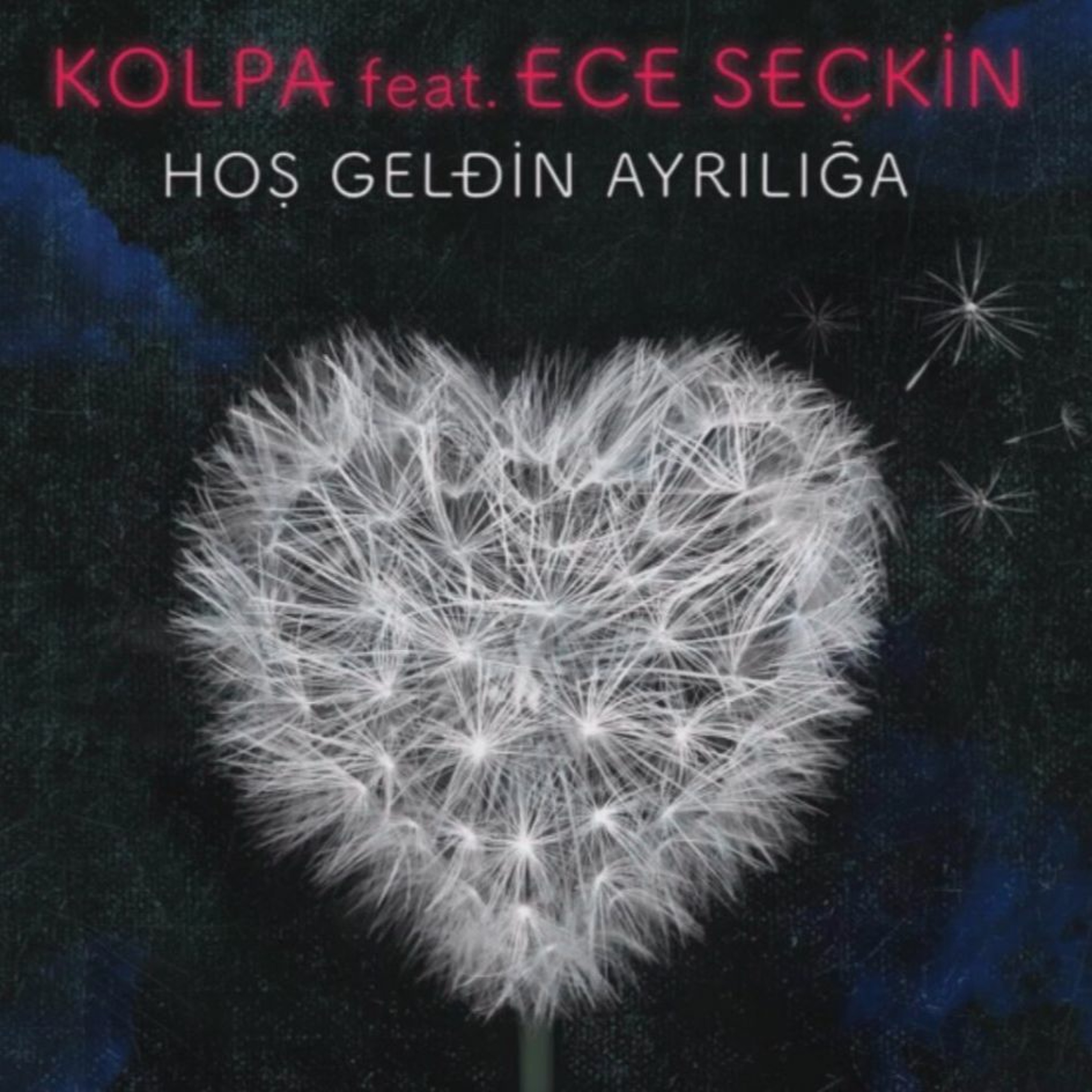 SEMIH TUNC