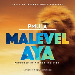 Malevelaya (Prod. by Victor Enlisted)