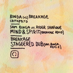 Sam Binga - Mind & Spirit (ft. Rider Shafique) (Breakage Remix)