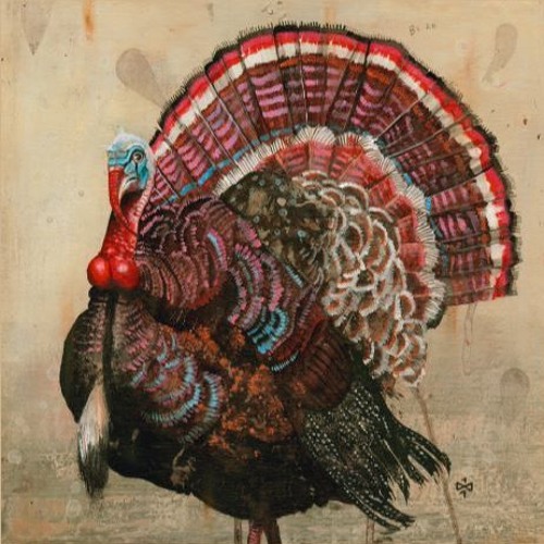 17-Acid Pauli _ Nana