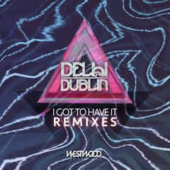 Delhi 2 Dublin - Got To Have It (Odjbox Remix)