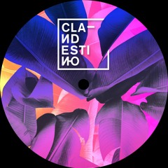 PREMIERE: Coyote - Dead Feathers [Clandestino]