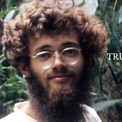Robin Sylvan - Inner And Outer Space (Terence McKenna's True Hallucinations)