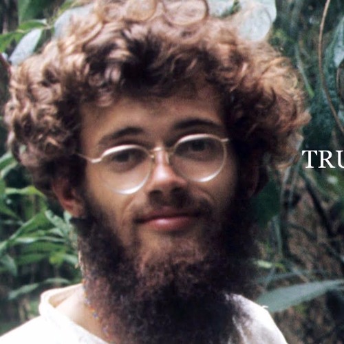 Robin Sylvan - Inner And Outer Space (Terence McKenna's True Hallucinations)