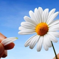 She Loves Me Not (Final)