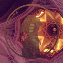 DJ Nil Feat. Jim Morrison ( The Doors ) - Love Her Madly (Original Mix)