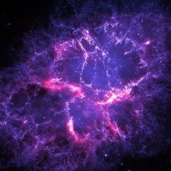 Inspired It's True | Prince Day