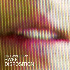 The Temper Trap - Sweet Disposition (Irek Vocal Remix)