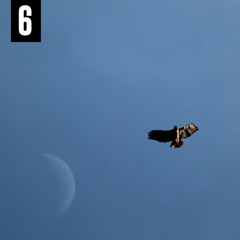 Nearly Blind (Ahh Ahh Ahh) feat. Jonathan Chapman