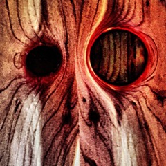 If (a Pink Floyd Cover)