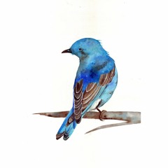 Bluebird ft. Charles Bukowski