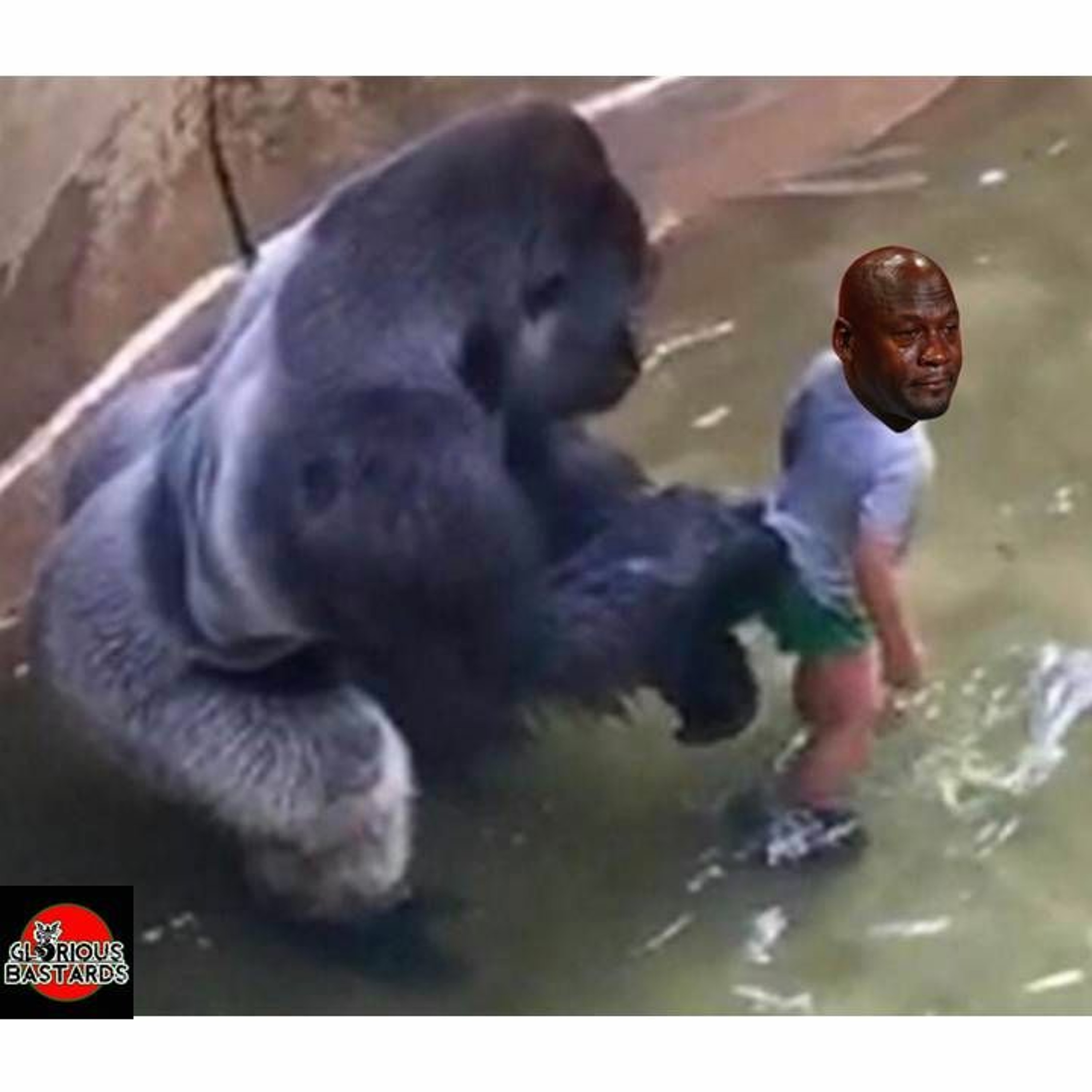 Glorious Bastards- Eggplants and Hearteyes- Gorillas And Parenting thumbnail