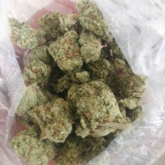 ProjectLife "Im Da Man FreeStyle"  #PJL #GunnaVilleEnt #BossUp #GGGE