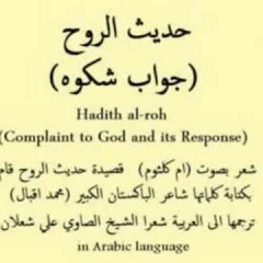 من قام يهتف باسم ذاتك قبلنا
