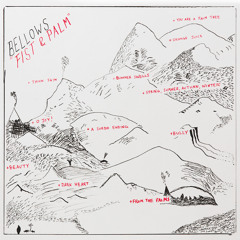 Bellows :: Thick Skin
