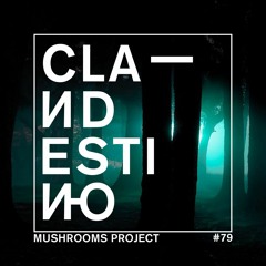 Clandestino 079 - Mushrooms Project