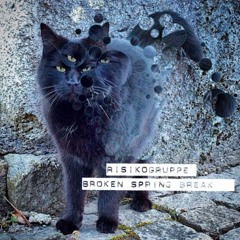 Paco / Risikogruppe - Broken Spring Break