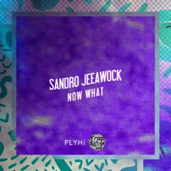 Sandro Jeeawock - Now What [FLYHI Recs]