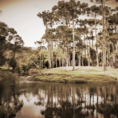 DIA 3 ~ PELA PALAVRA ~ PÁSSARO DA PACIÊNCIA ~ A.T.O.A CRIA #30Ideias30Dias