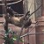 Artwork for The Slowness Of Sloths