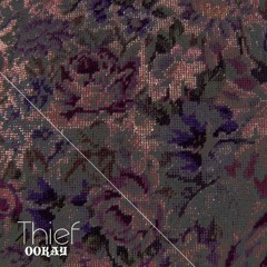 Ookay - Thief (THEBRA & KONUS Remix)