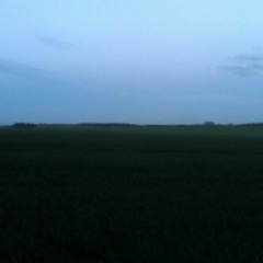 grenouilles et étangs 2