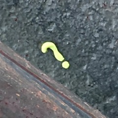 Mystery Club June 2016 w/ The Ingredients