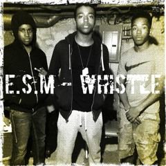 Whistle