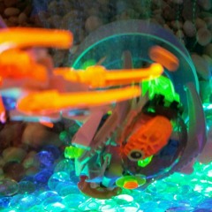 20 to 1 Odds  (the brawl in the basement)