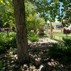 Rap battle nean cat vs grumpy cat