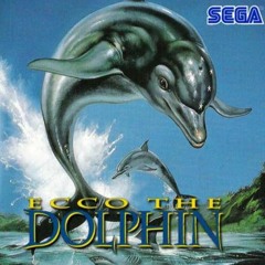 Ecco the Dolphin