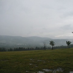 Boca Vegan Chik'n Patties