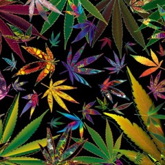 Stoned Summer 2016