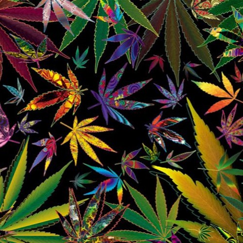 Stoned Summer 2016