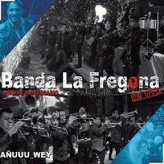 Me sacaron del tenampa banda la fregona