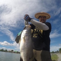 Army Title Kamol lure