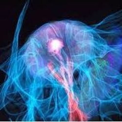 Electric Jellyfish
