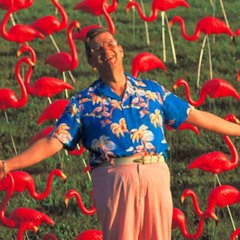 PRINZ KORV - PET FLAMINGO MIX