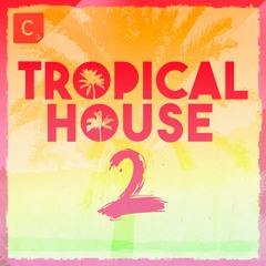 Tropical House 2 - Exclusive Tracks and Mini-Mix