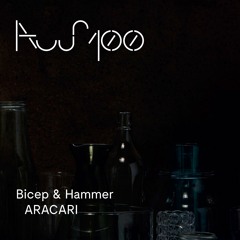 Bicep & Hammer “ARACARI" - Boiler Room Debuts