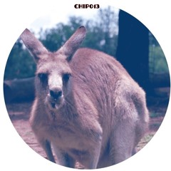Dr Cryptic - Skippy (Phatworld Remix)