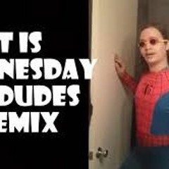 It Is Wednesday My Dudes REMIX