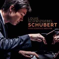 Schubert - Piano Sonata No. 16 D. 845 (moderato) Louis Schwizgebel