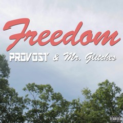 Freedom (feat. Mr. Glitches)